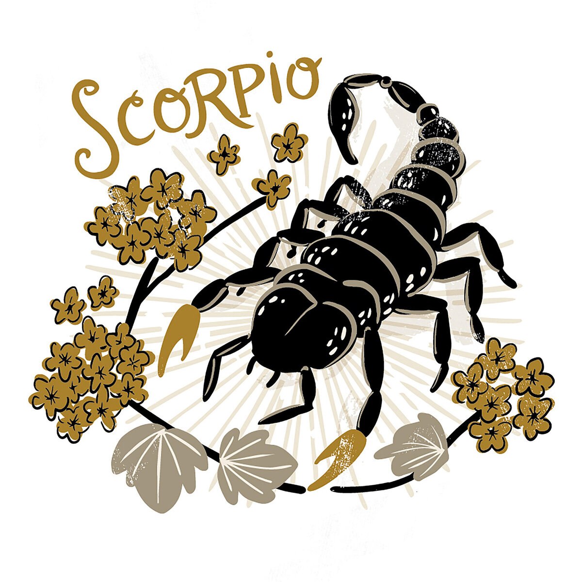 Scorpio_RW2-01