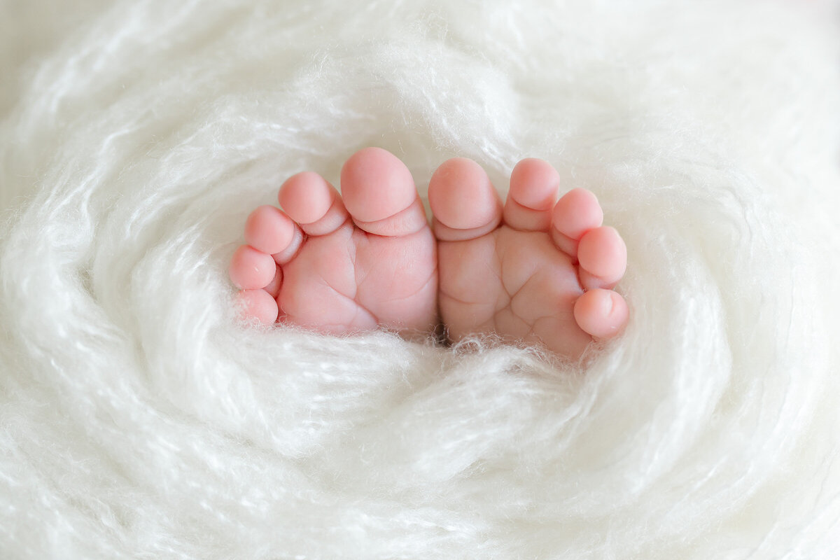 baby feet photographed by destin newborn photographers