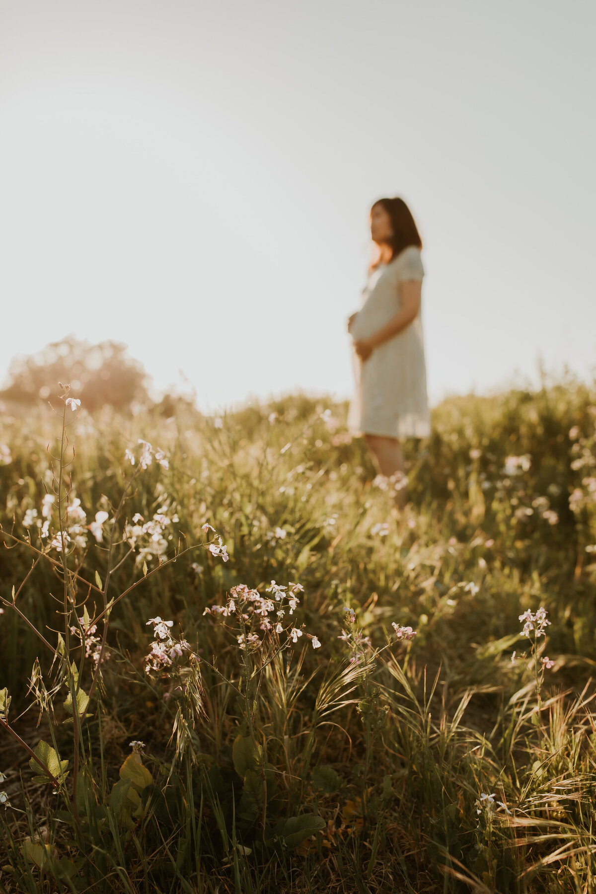 Pregnant mama snuggles belly in California wildflower field