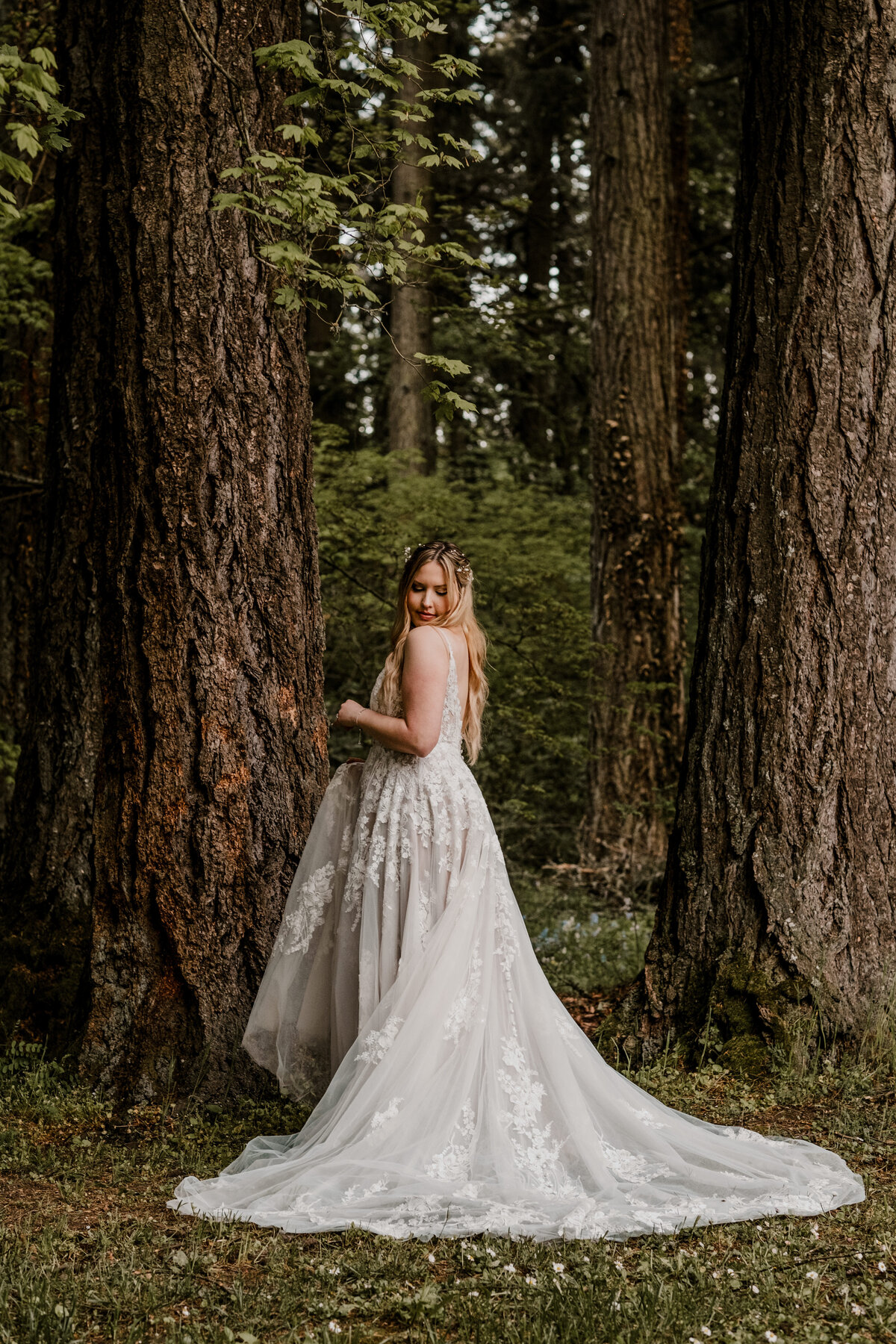 Bride poses romantically in her wedding dress in the forest of the Oregon coast. 