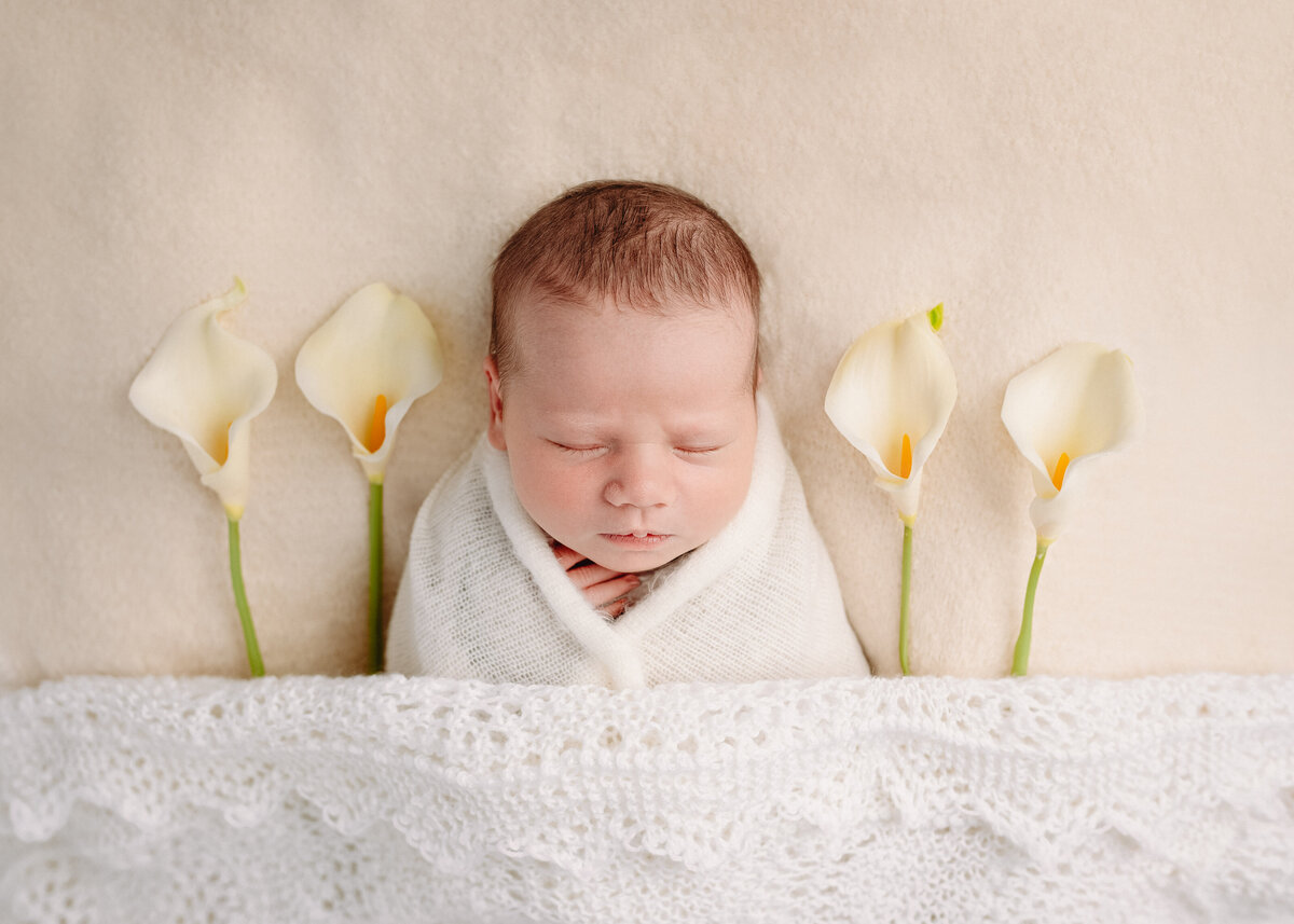 Baby posed and sleeping between some lilies in a styled newborn photography session by expert Hobart Newborn Photographer Lauren Vanier