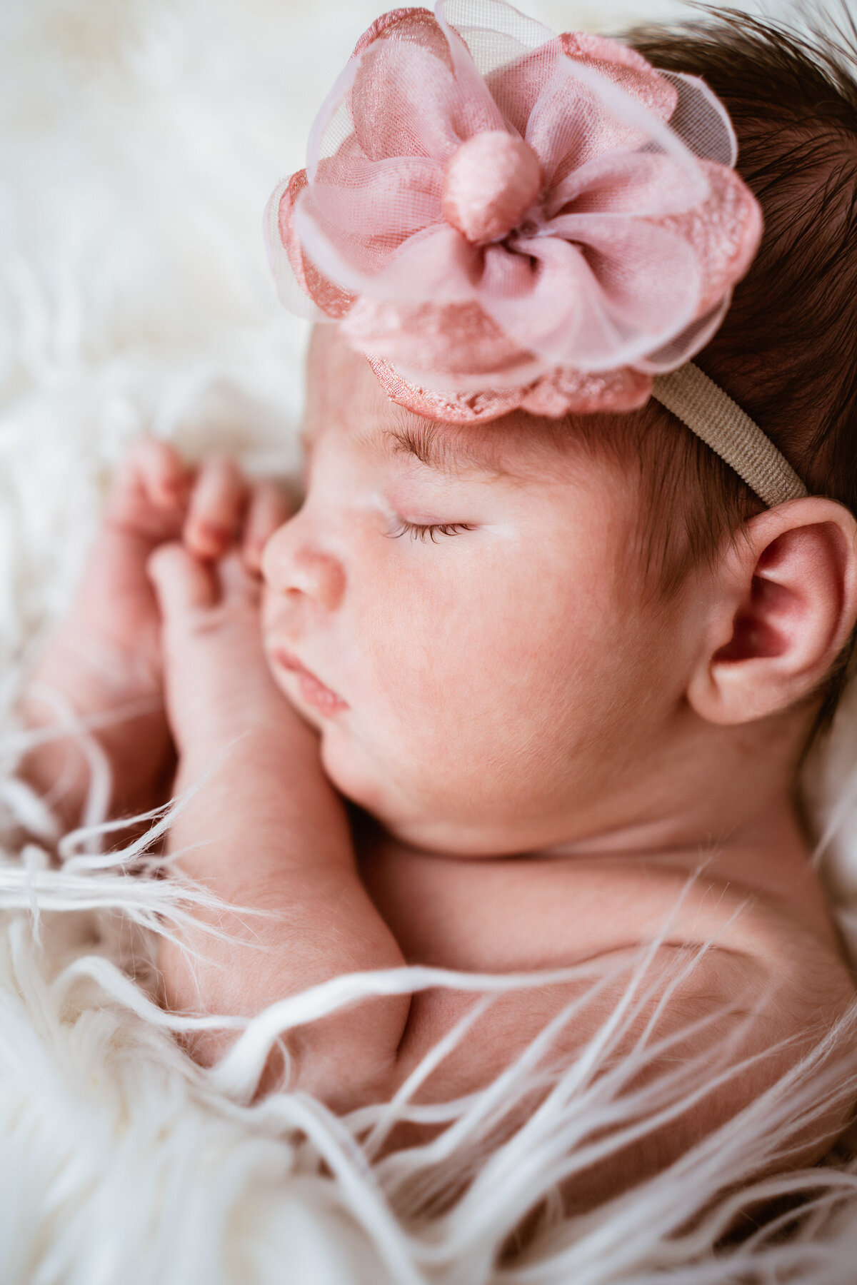 Pittsburhgh Newborn Photographer--Newborn Website Update-3