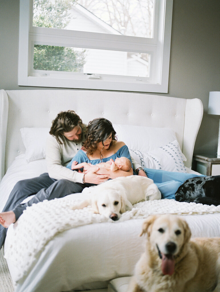mom and dad holding newborn baby with dogs in bed