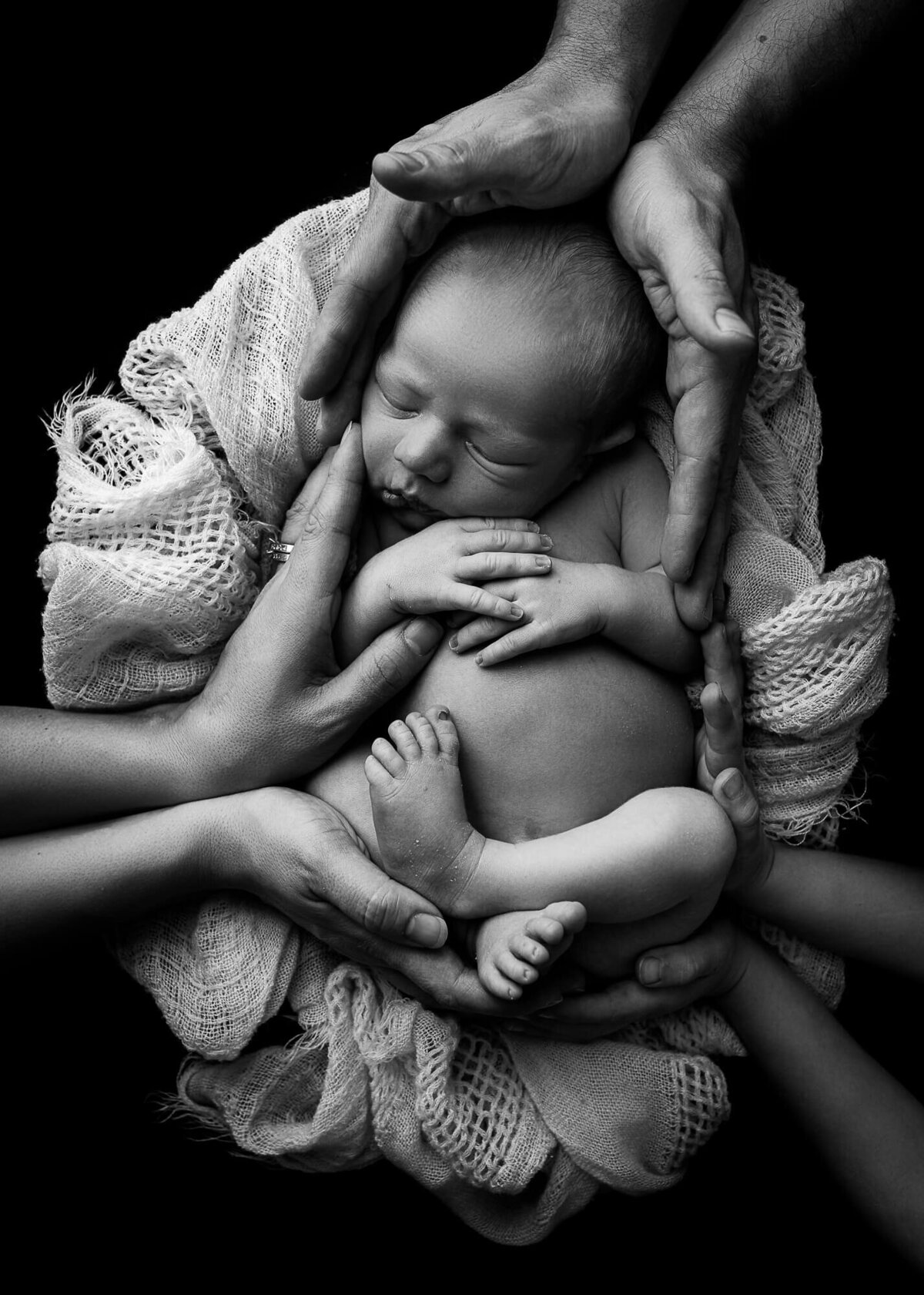 family's hands on baby; black and white portrait