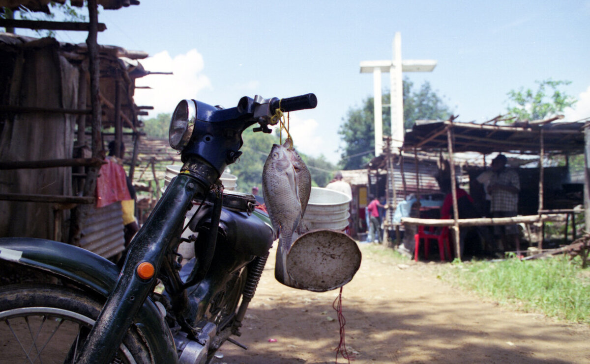 Recently caught fish hang from a mopen handlebar with crosses in background in village marketplace