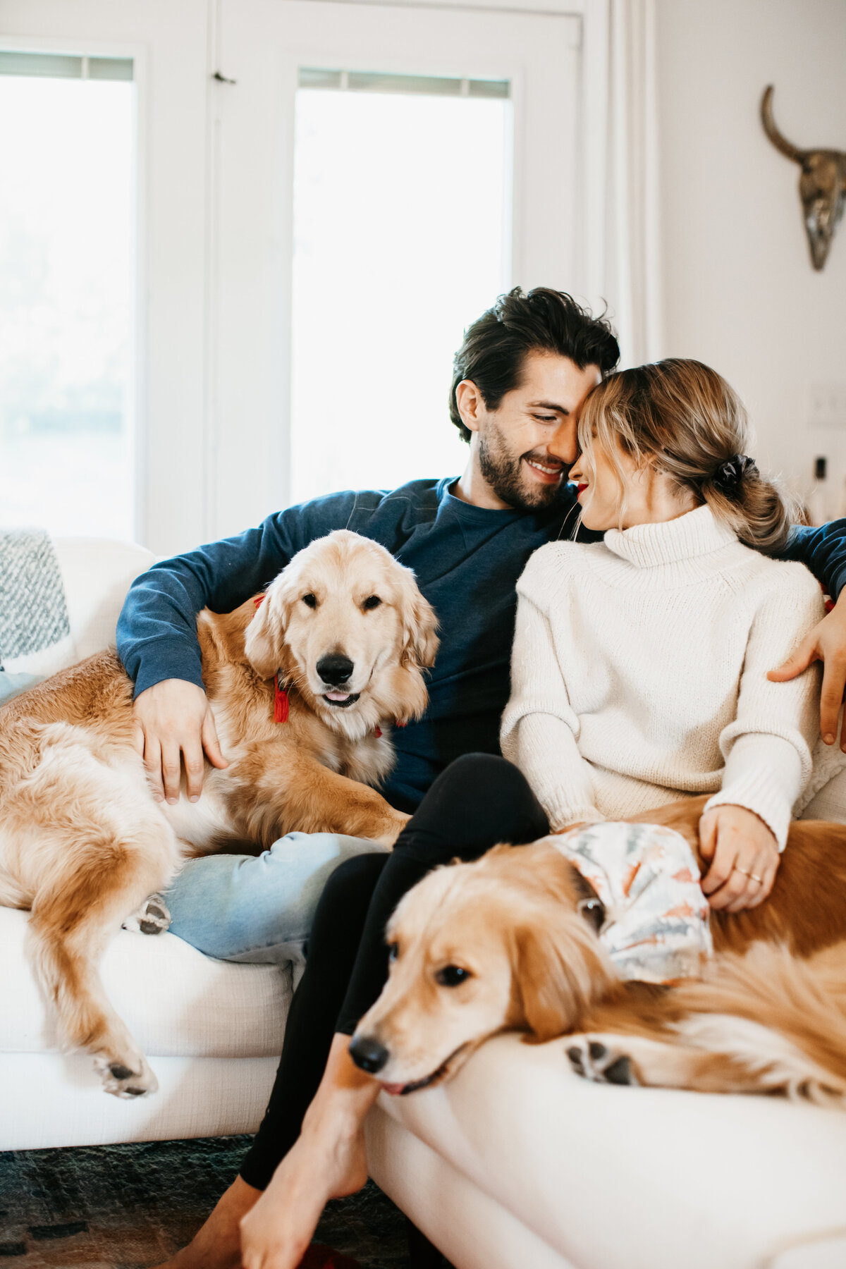 couple snuggling on the couch with their dogs in home