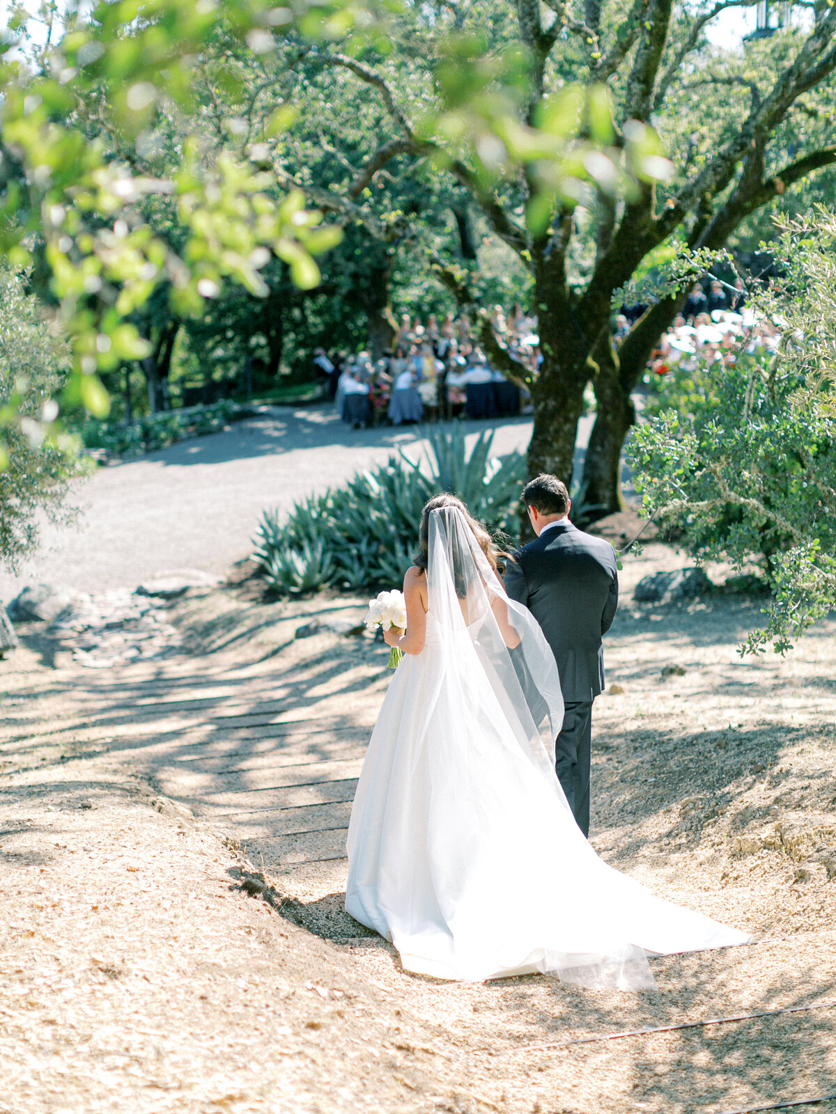 sonoma-county-wedding-geyserville-california-36