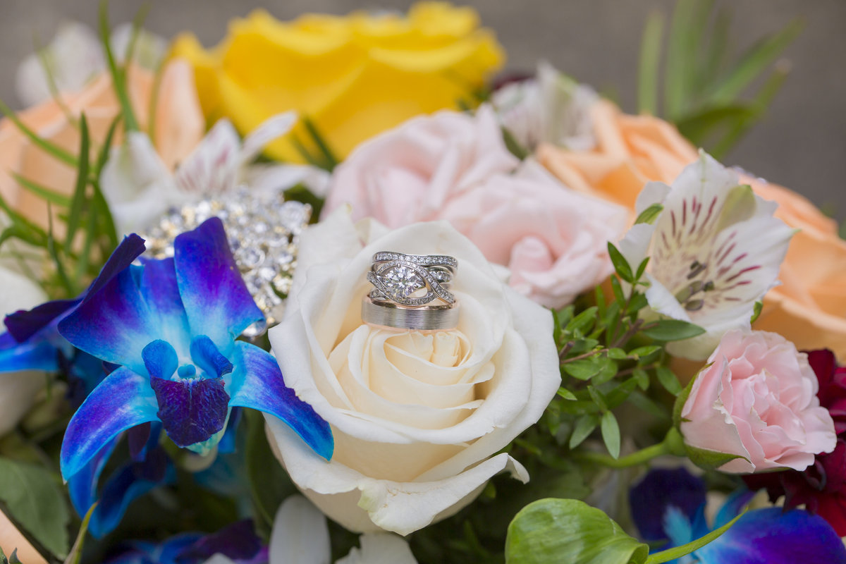Bud and Kristen have a wedding at the Grove City College Chapel and have their reception at a Barn on Lake Latonka.