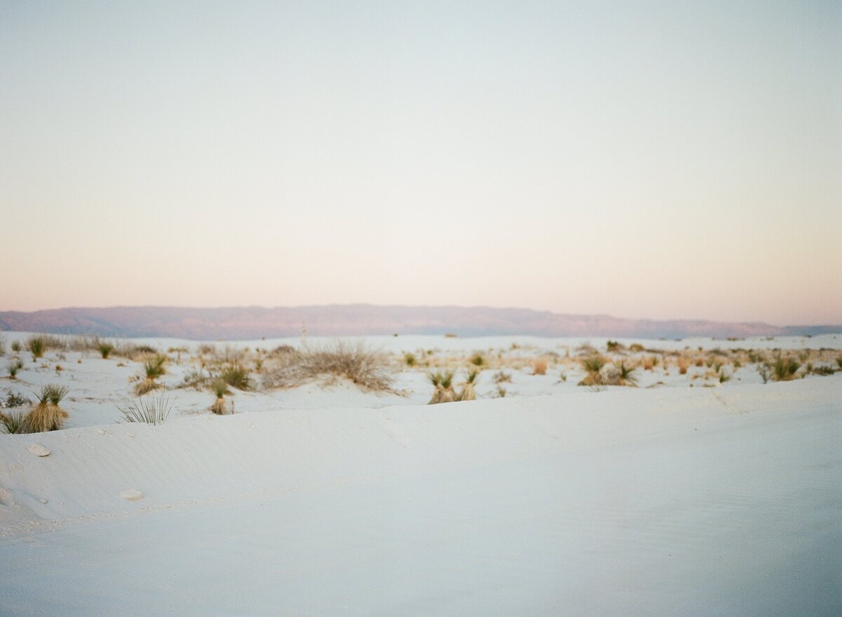 sunset and bush in white sands new mexico