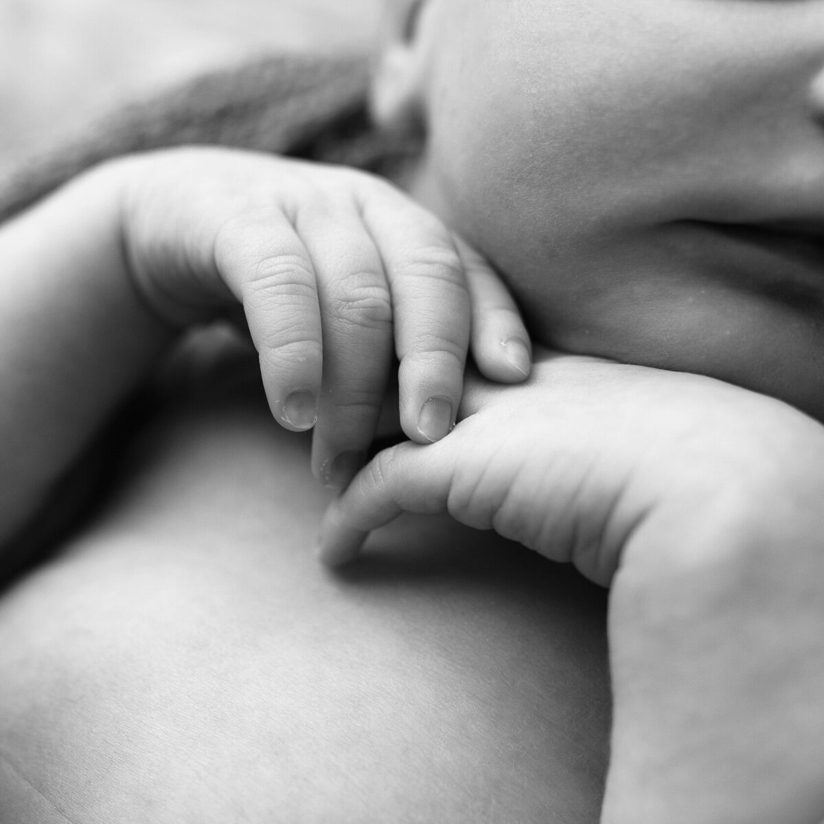 Newborn Tiny hands photography by Laura King