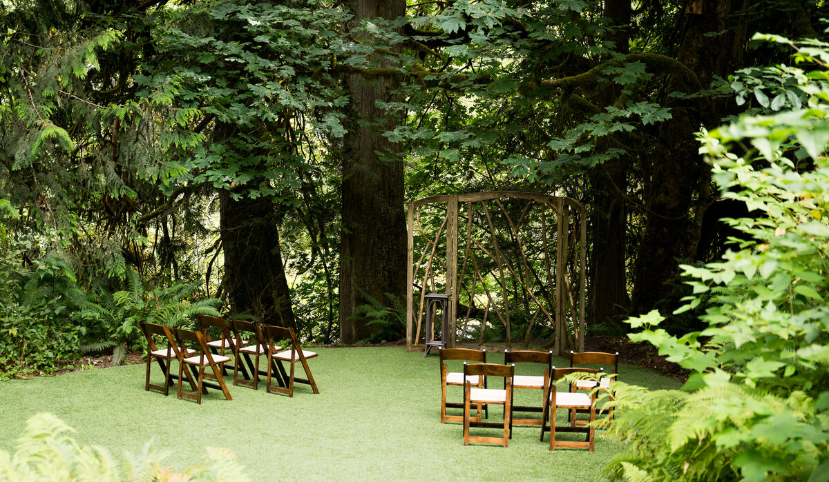 Treehouse Point Issaquah Washington Elopement Photographer