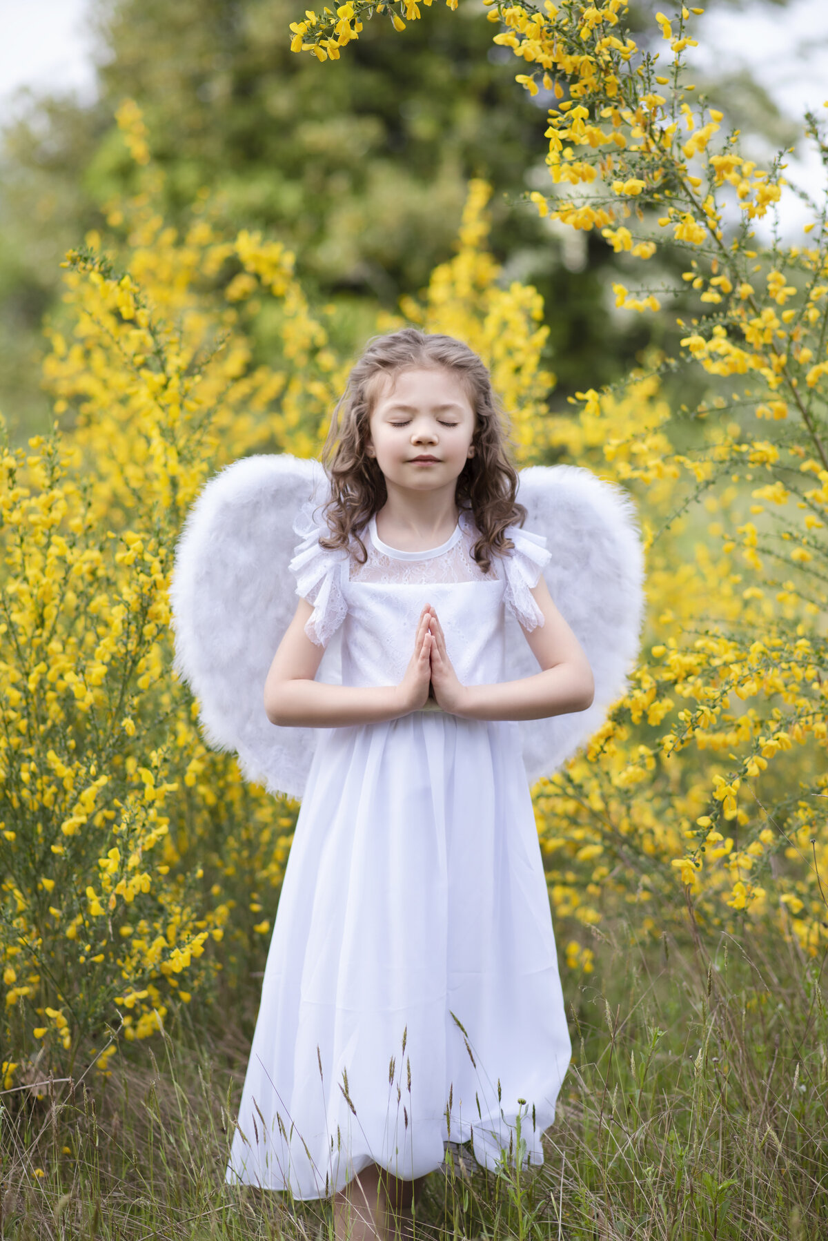 Angel praying in field of yellow flowers