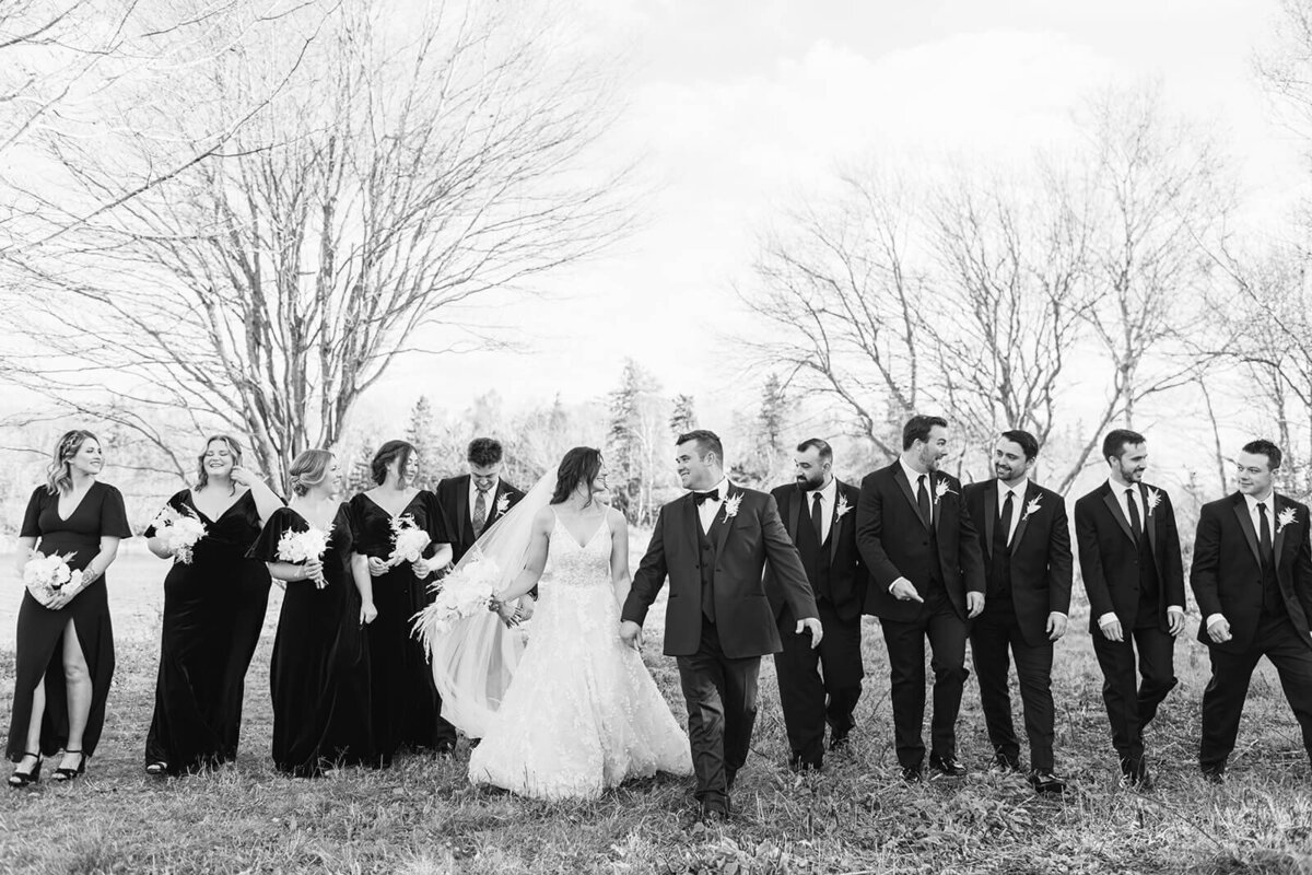 groom-and-bride-with-wedding-party