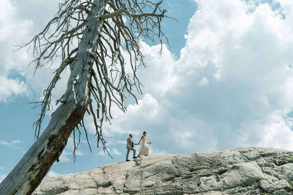 couple walking along clifband with big tree in fore ground, big blue skies and puffy white cloud