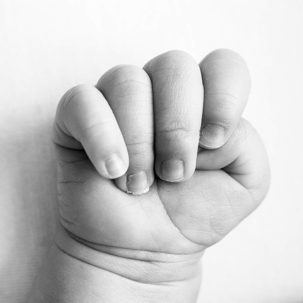 macro shot of baby hand in black and white