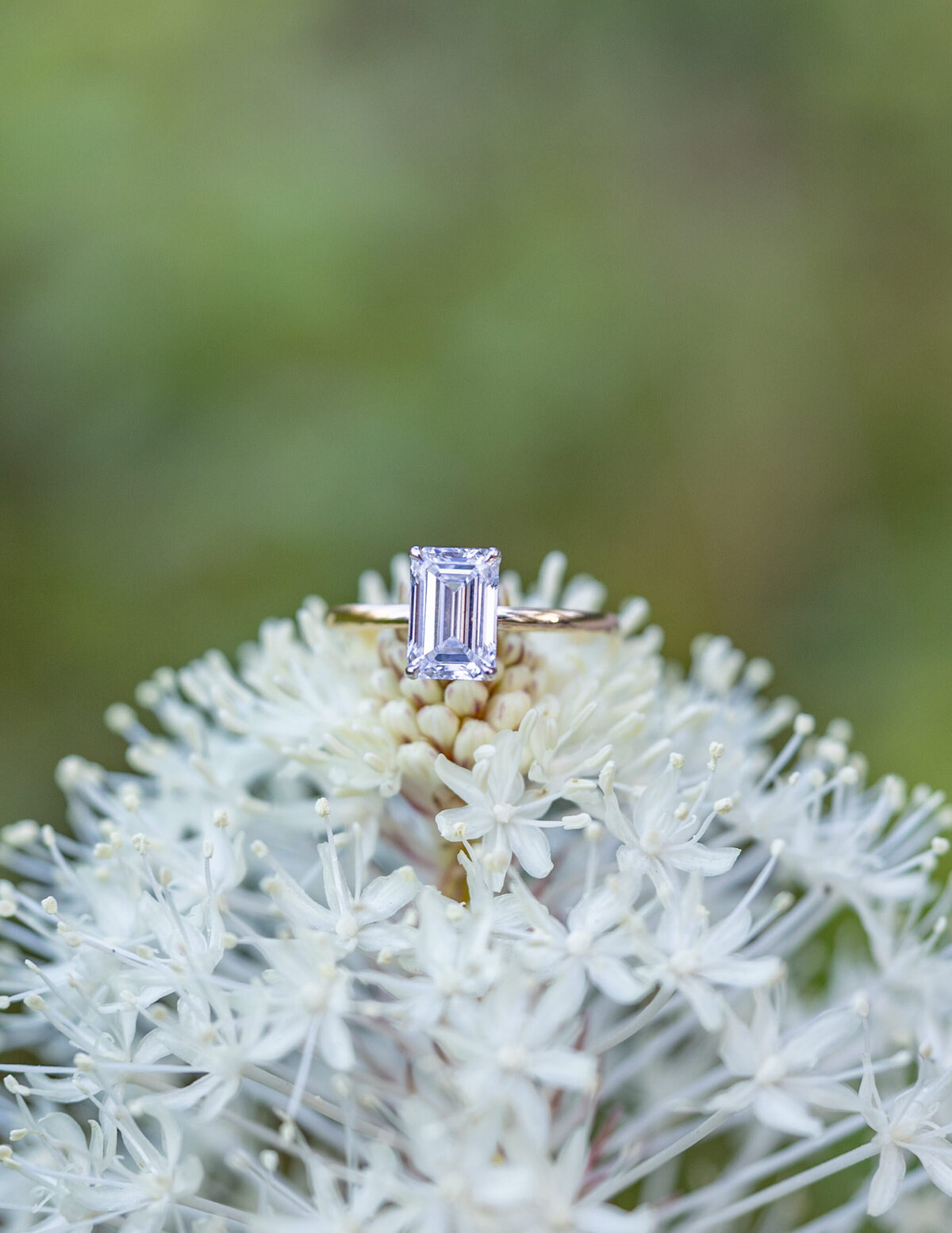 Glacier National Park Photographer - Engagement session (39)