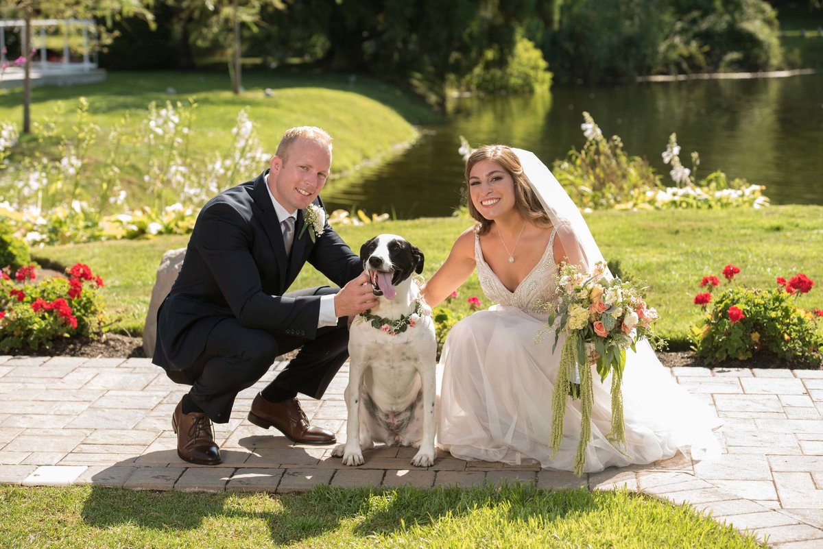 Bride and groom crouching with dog at Flowerfield