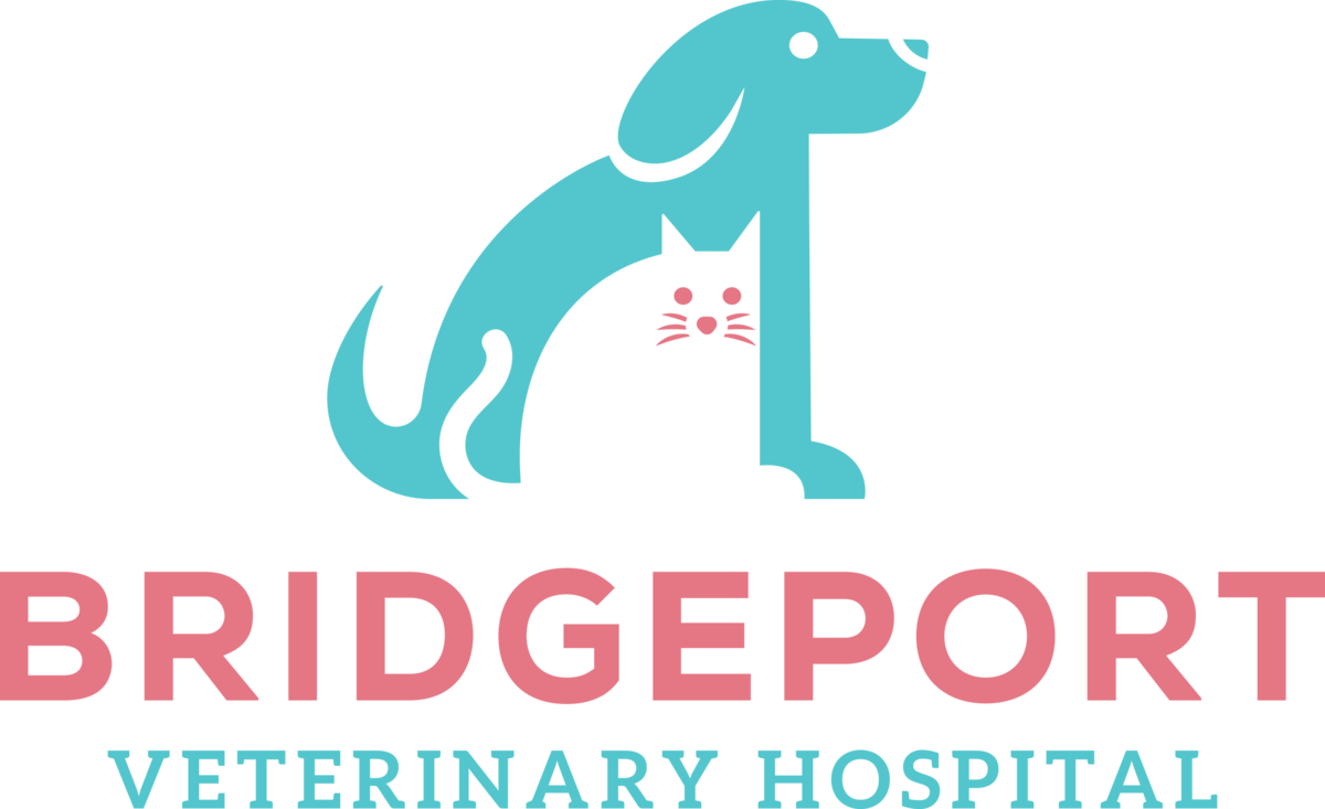 Bridgeport Veterinary logo