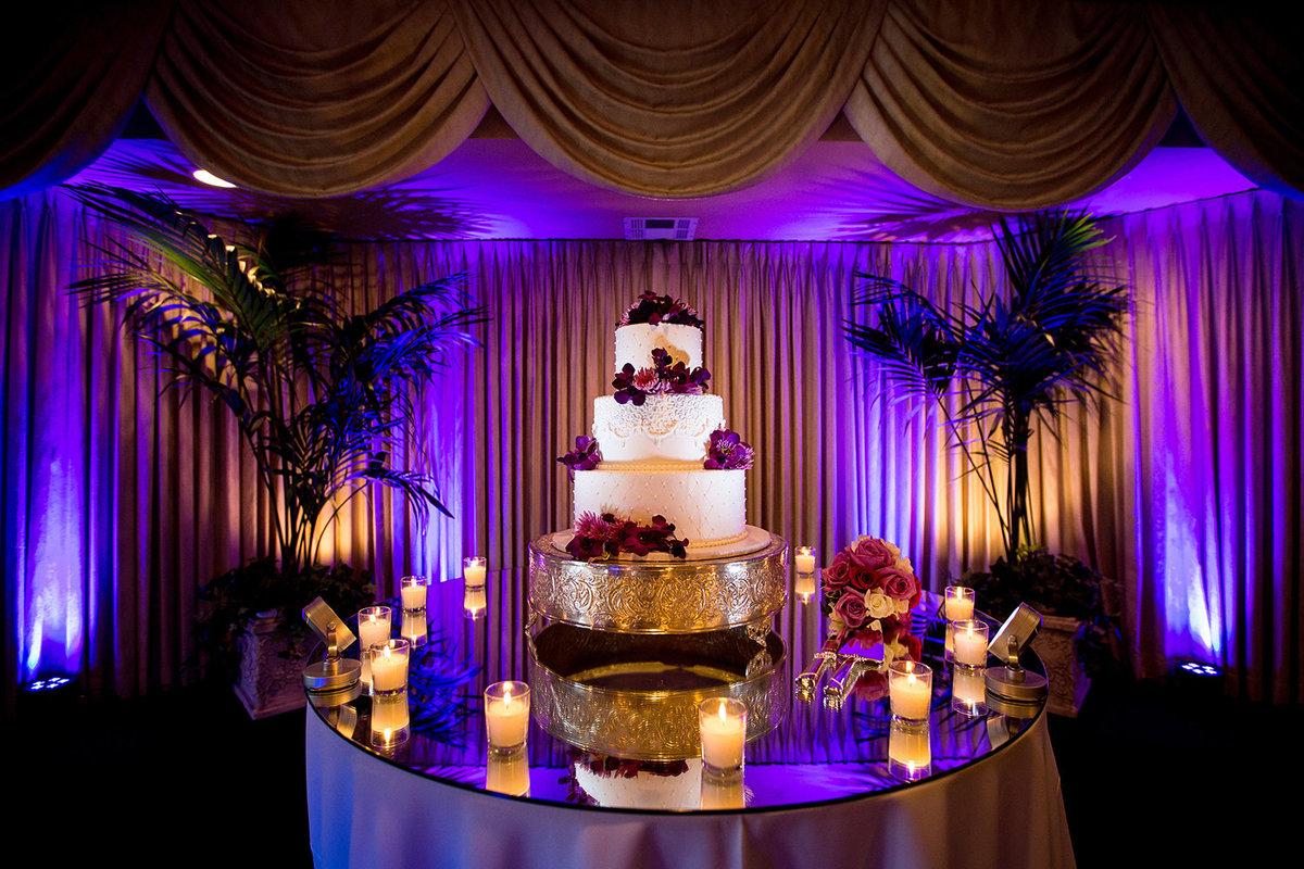 Beverly Mansion wedding photos cake with purple lights