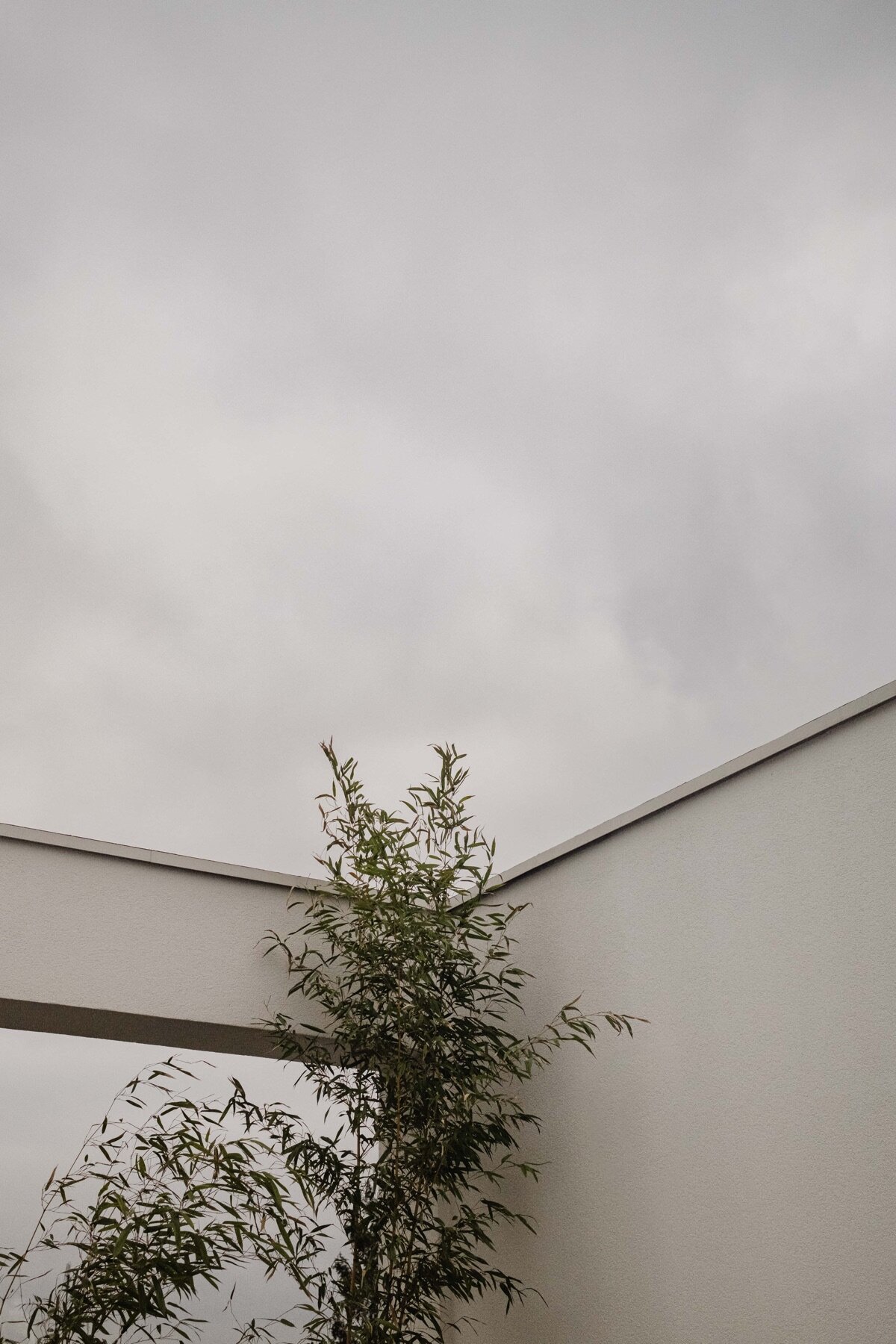 kaboompics_random-photos-collection-sample-images-captured-with-fujifilm-x100vi-34978