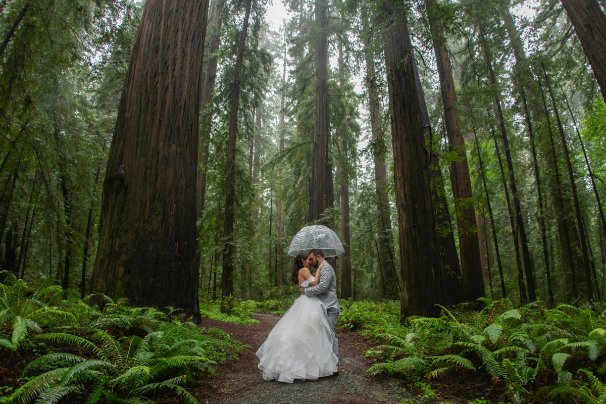 Redway-California-wedding-photographer-Parky's-Pics-Photography-Humboldt-County-Photographer-Avenue-of-the-Giants-First-look-in-the-redwoods-wedding-2.jpg
