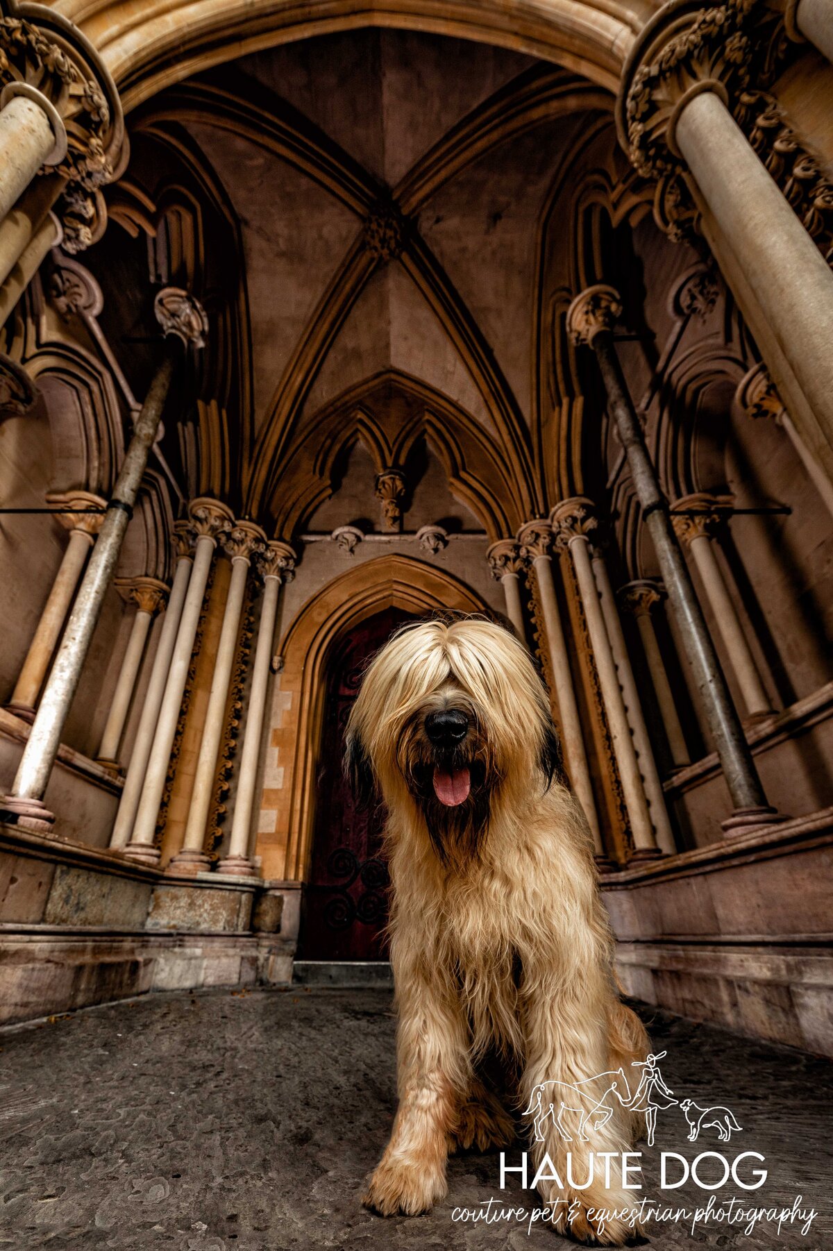 A shaggy Briard with hair covering its eyes poses for portrait at a cathedral.