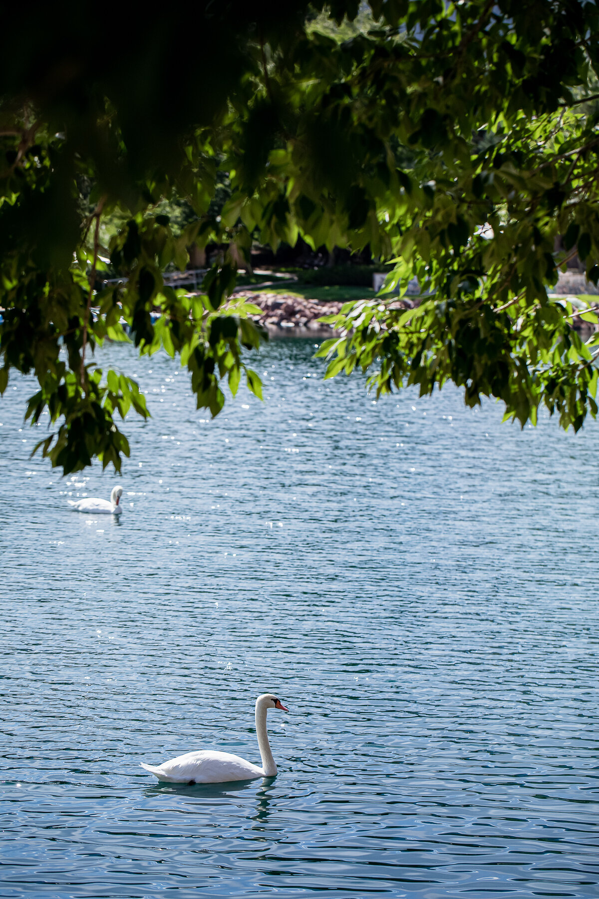 Broadmoor Lake