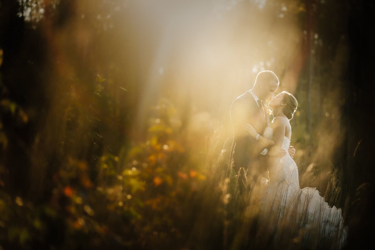 A wedding couple about to kiss in a field with the sun shining down on them.