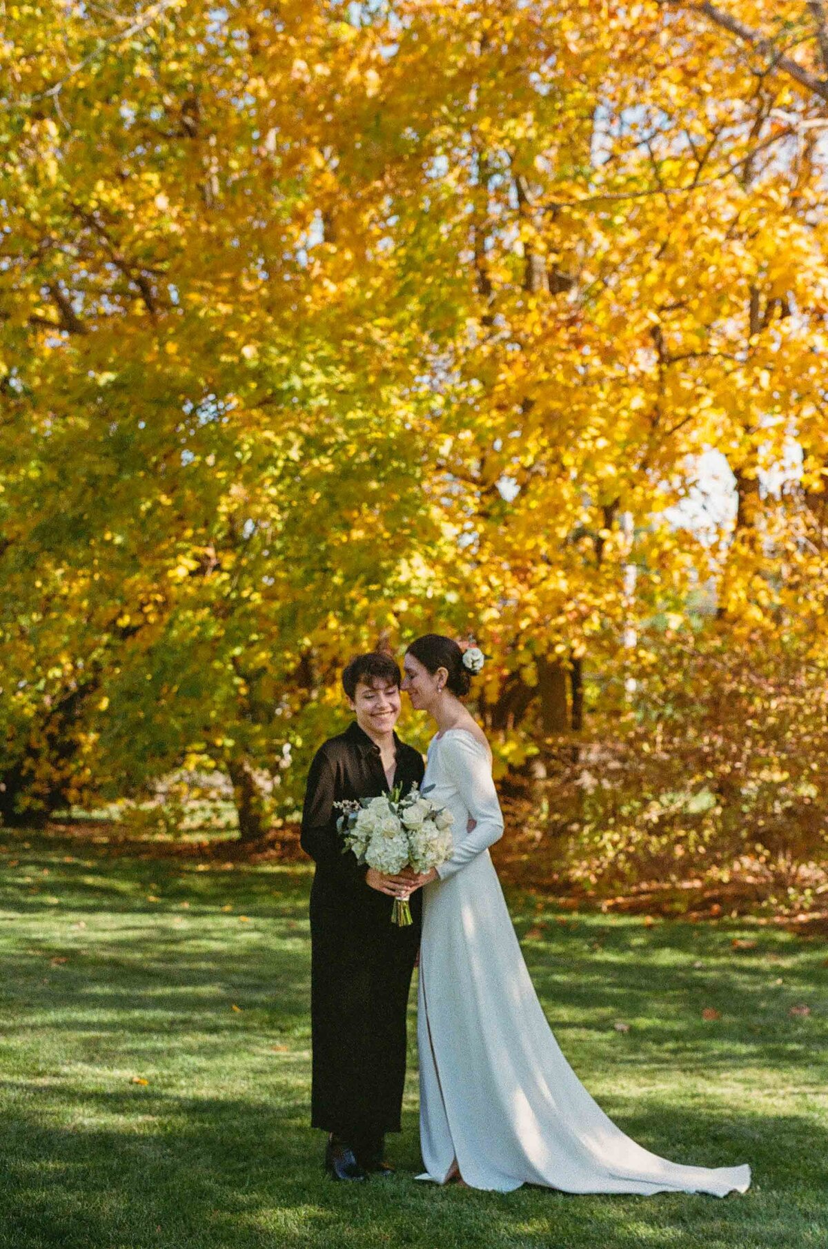A couple standing under fall colored trees as one kisses the other's cheek.