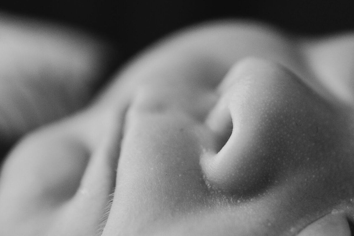 little newborn nose