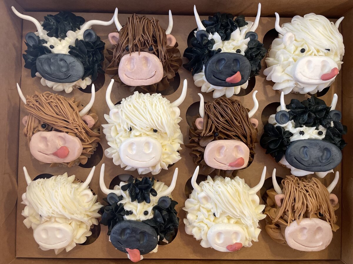 Exquisite cow cupcakes, adding a unique touch to events in Gilbert, Arizona.