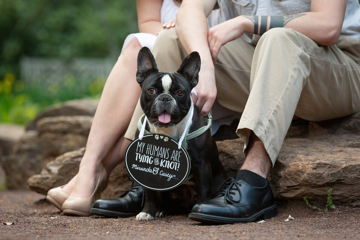 engagement-session-dog-puppy-nj