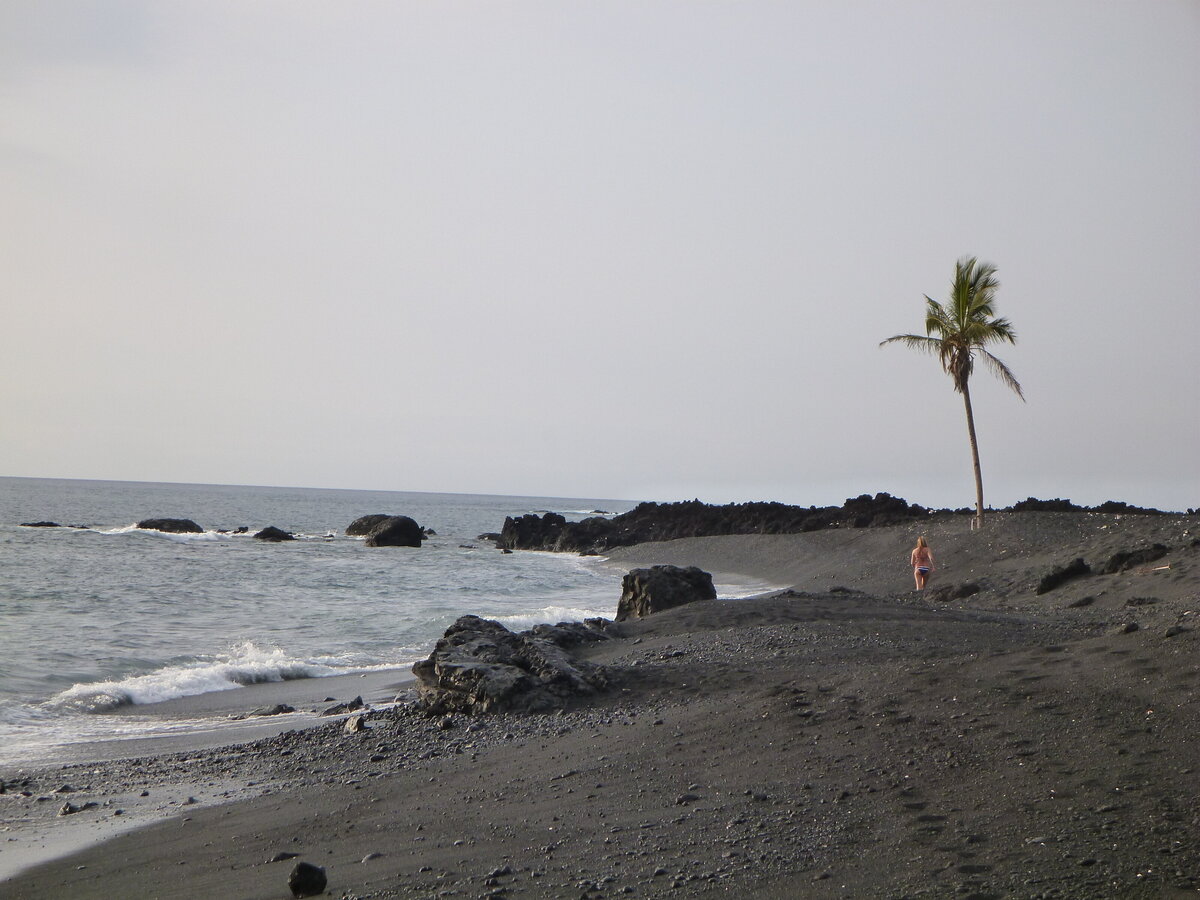 black sand beach in Hawaii Big Island single palm tree and girl walking down the beach