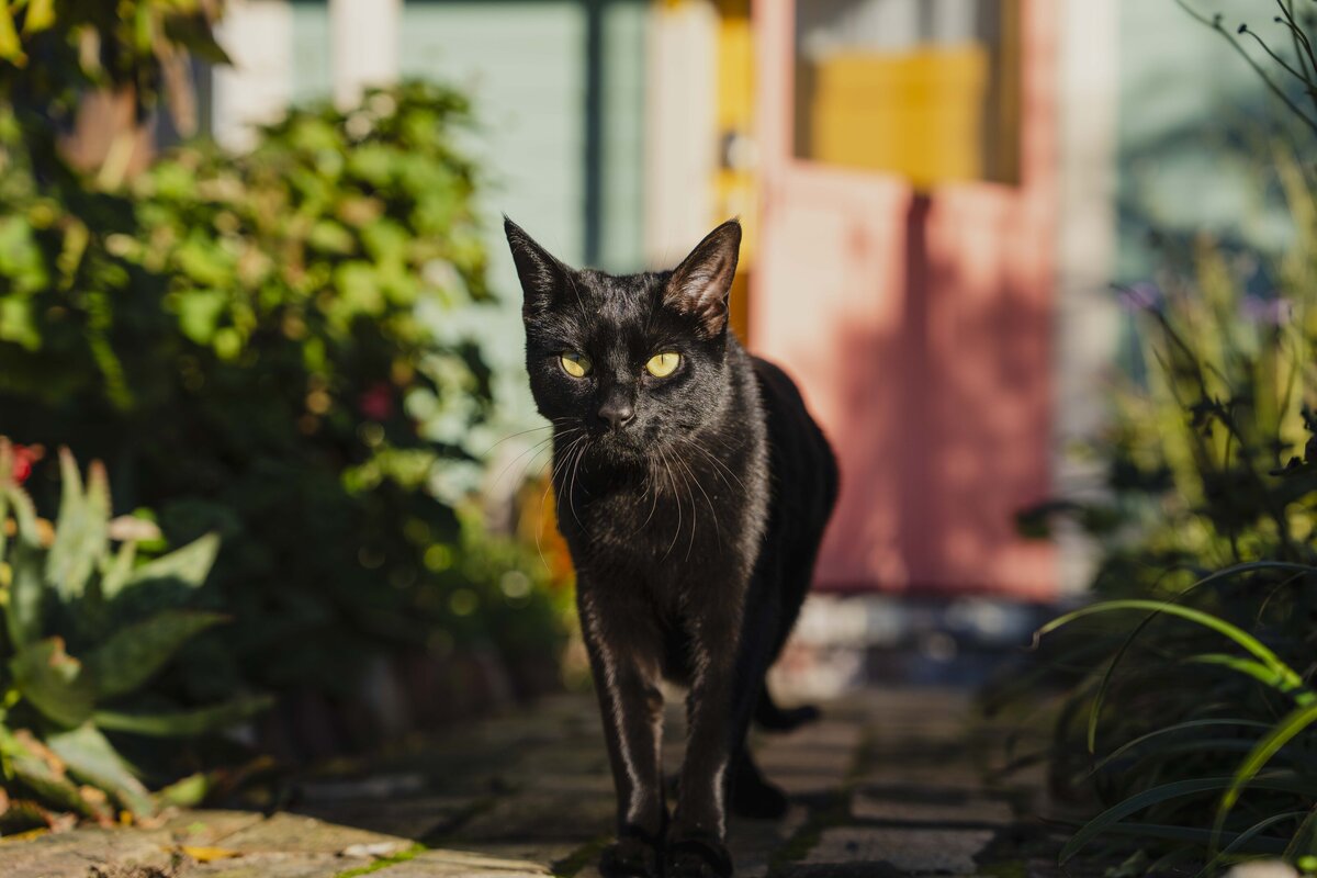 _DSC0826