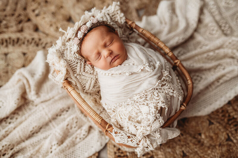 Infant posed in a basket for Newborn Portraits in Asheville, NC.