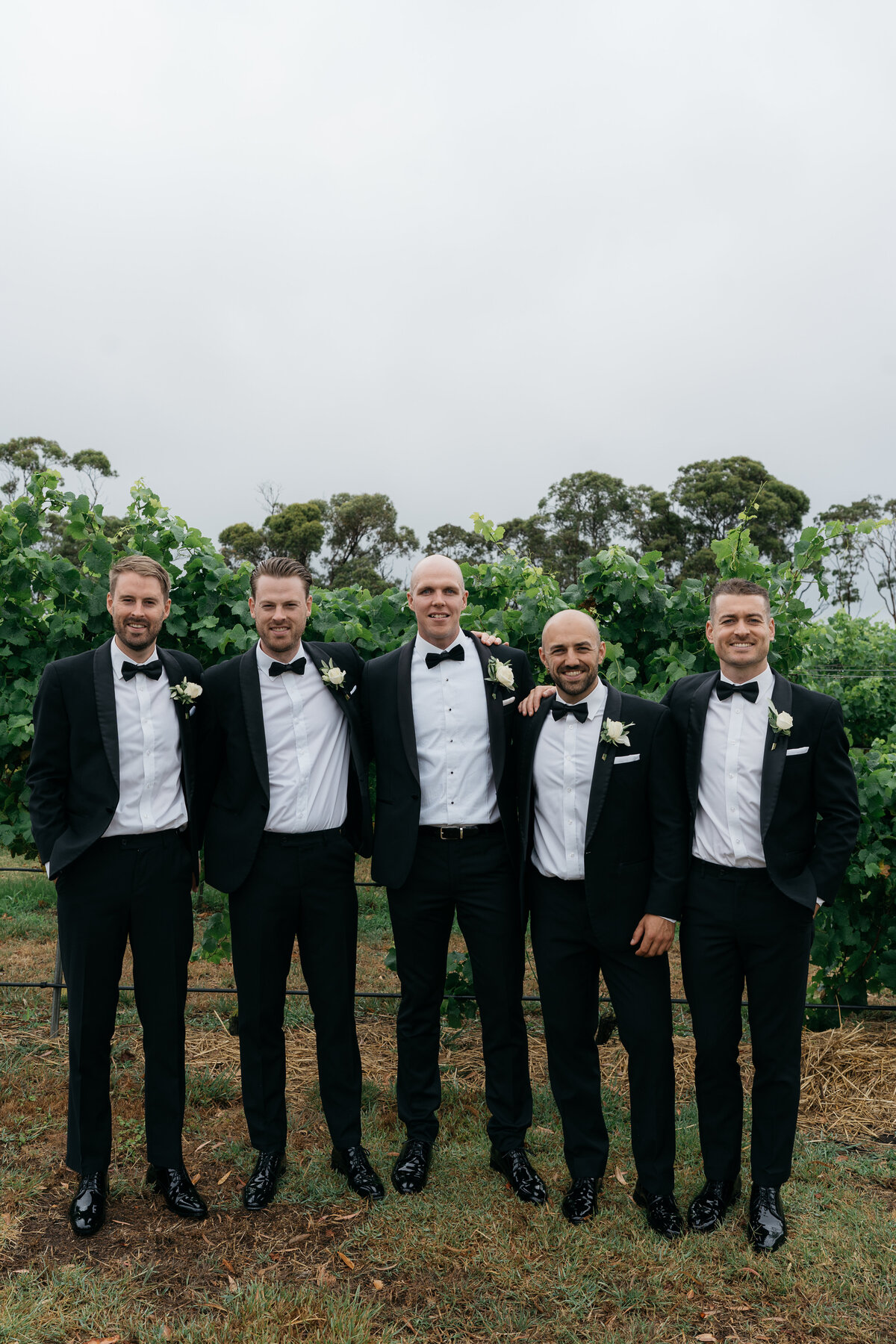 Courtney Laura Photography, Baie Wines, Melbourne Wedding Photographer, Steph and Trev-592