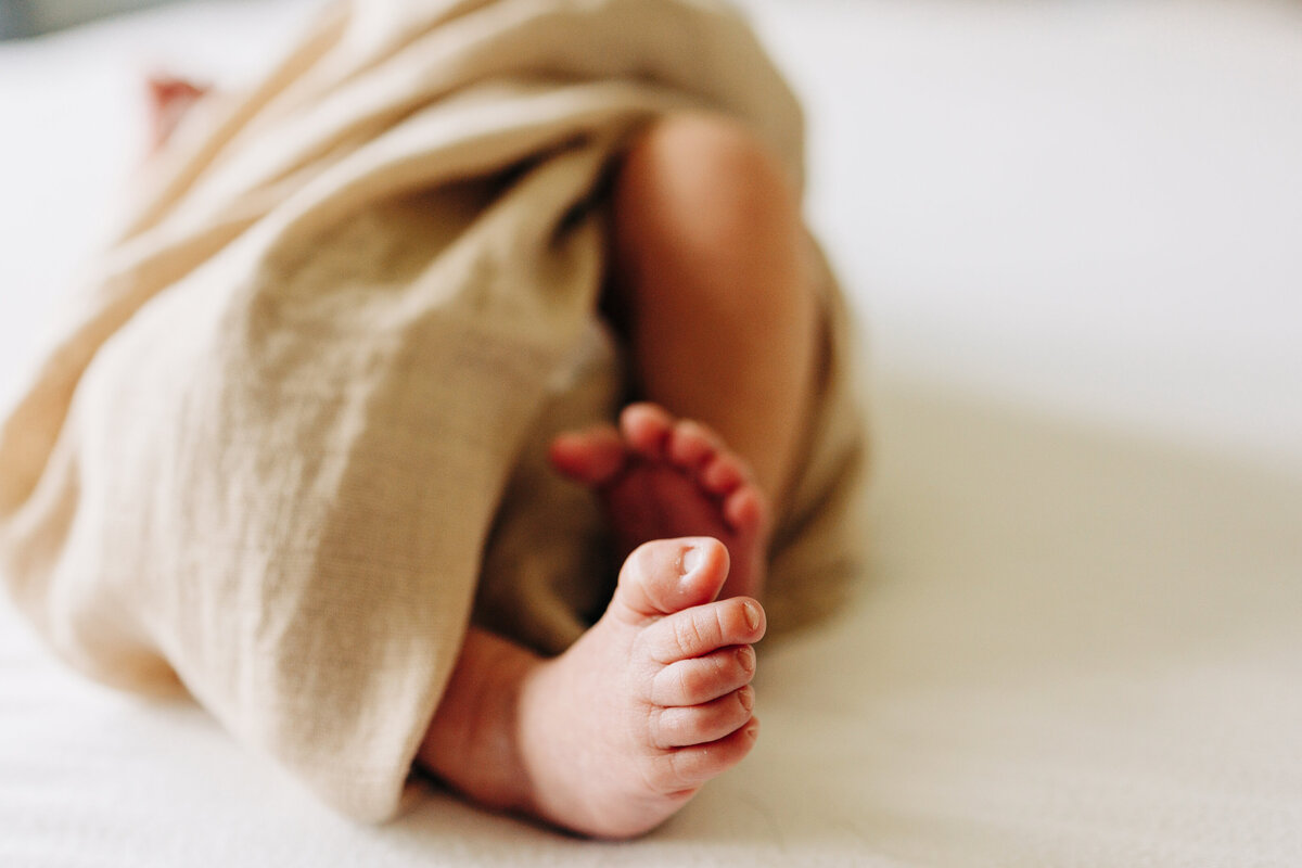 baby feet taken by a houston newborn photographer