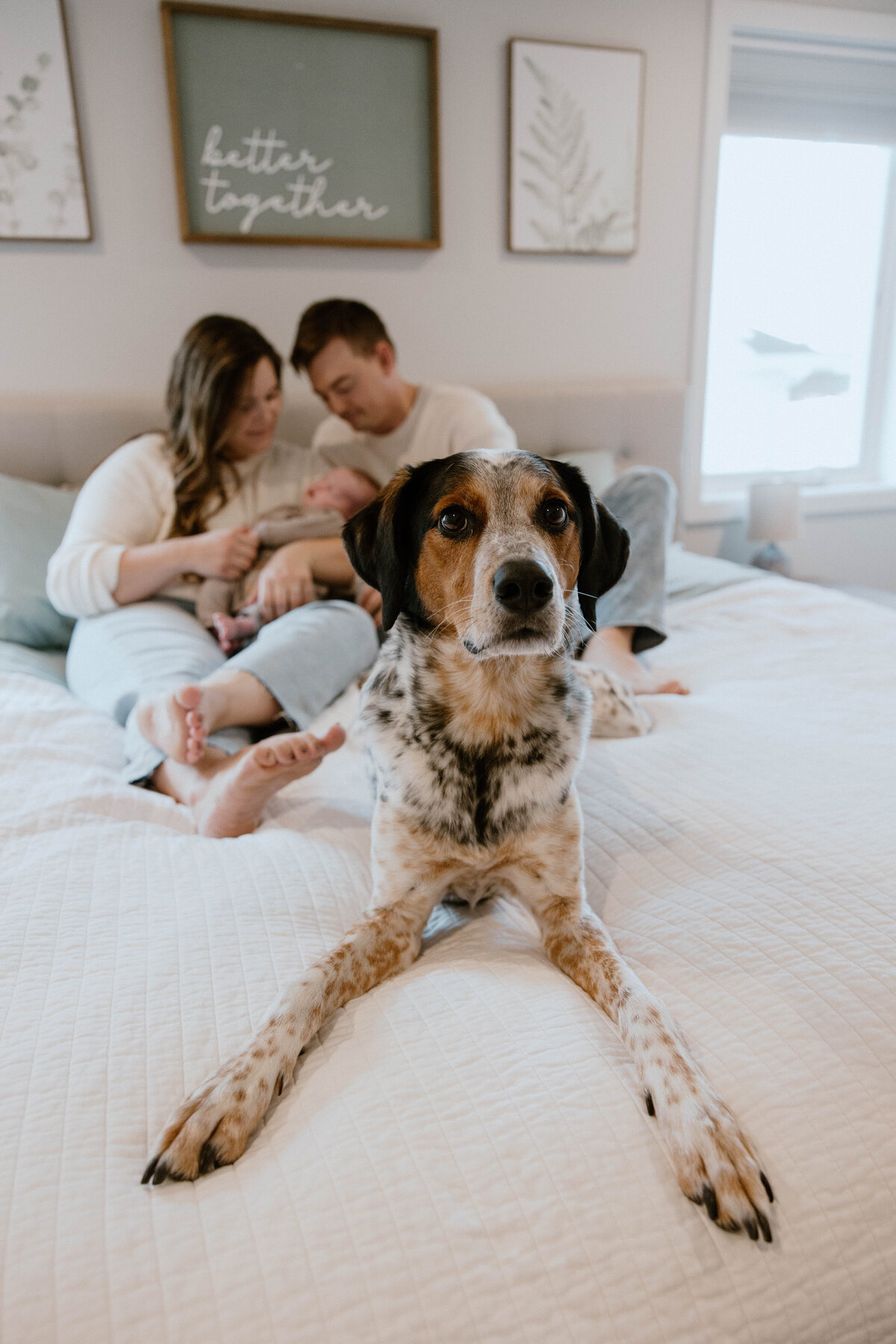 Family Photography in MN 