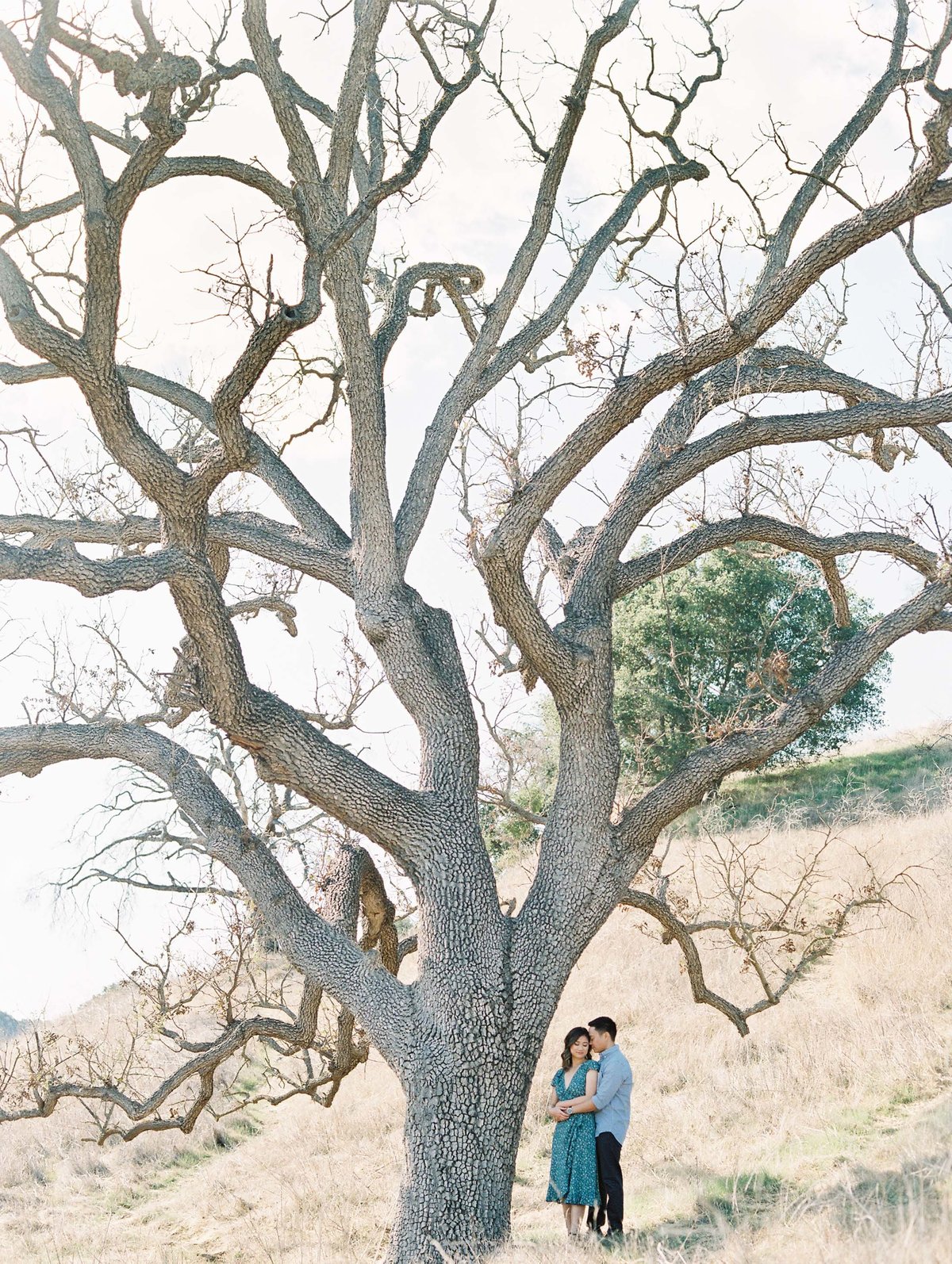 Babsie-Ly-Photography-malibu-creek-state-park-Engagement-Session-Film-Asian-Photographer-001