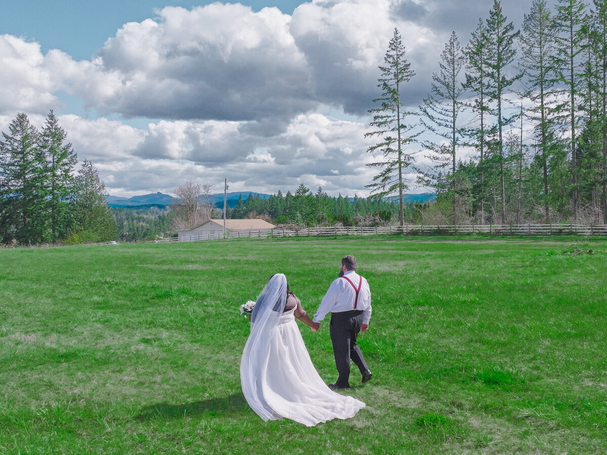 A romantic and elegant drone shot for a wedding in Yosemite