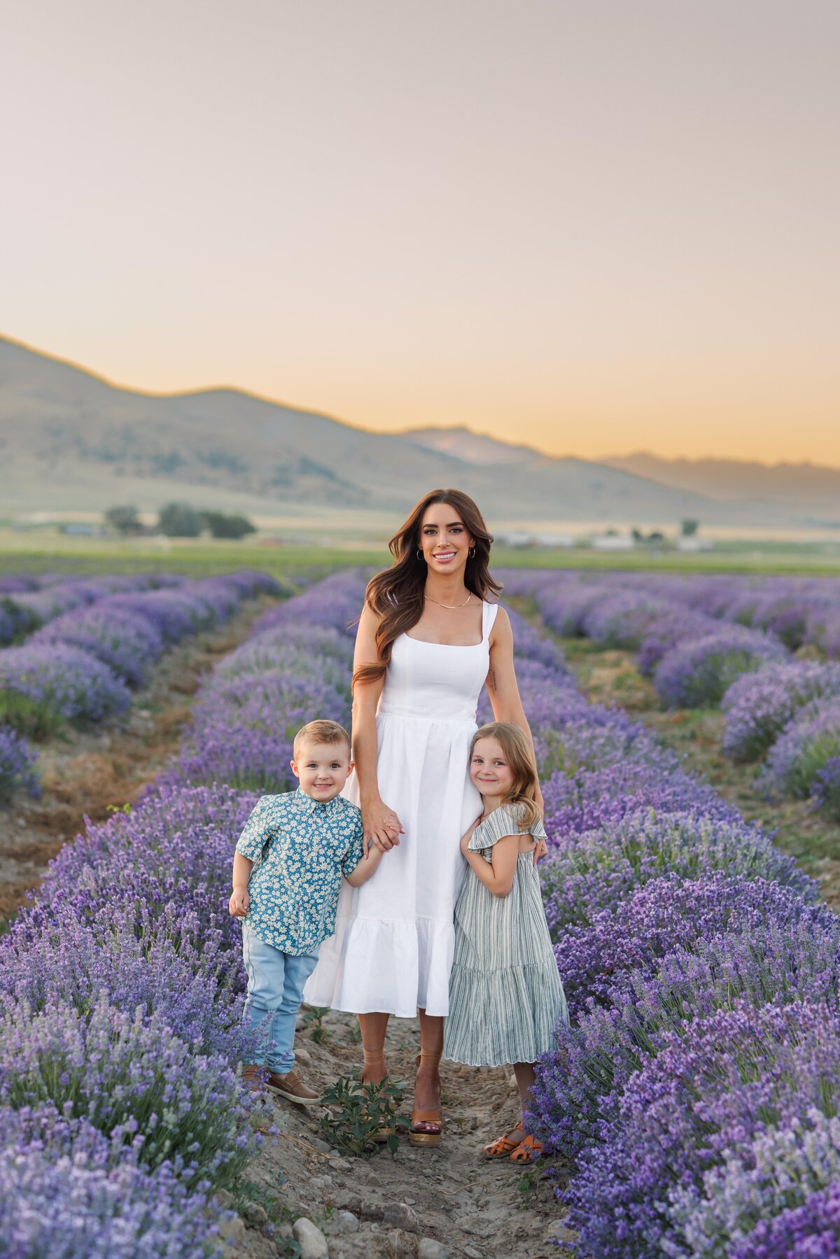 Jordan and kids - lavender fields-126