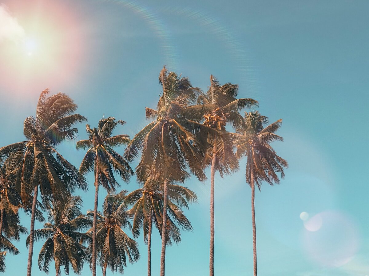 pexels-marctutorials-1152359