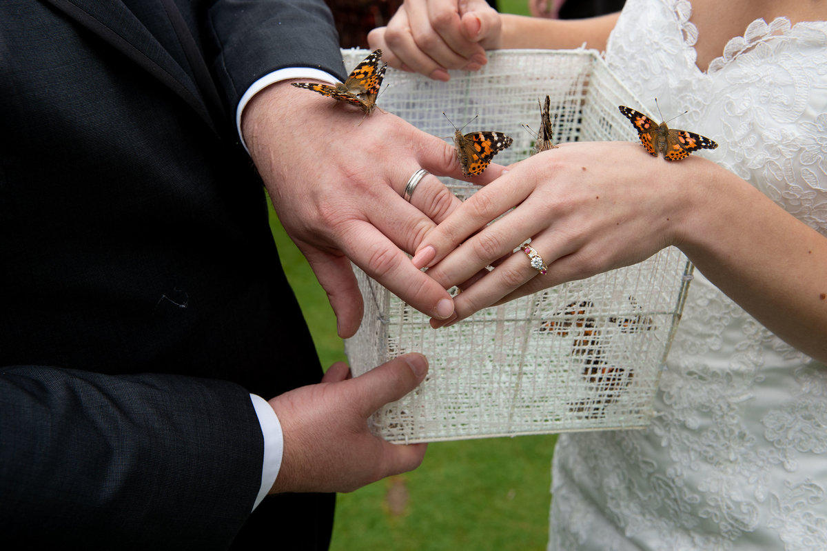 butterflies land on hands of bride and groom