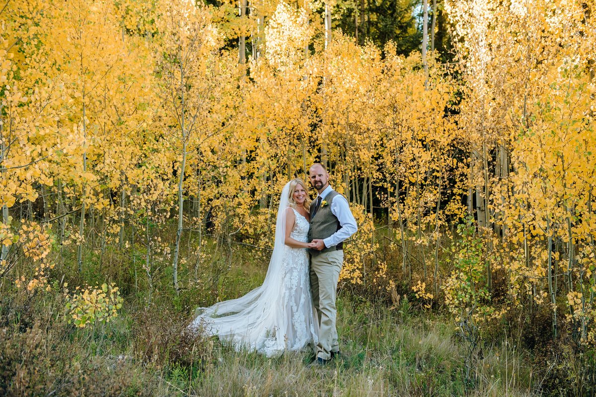 Crested Butte, co Wedding-809