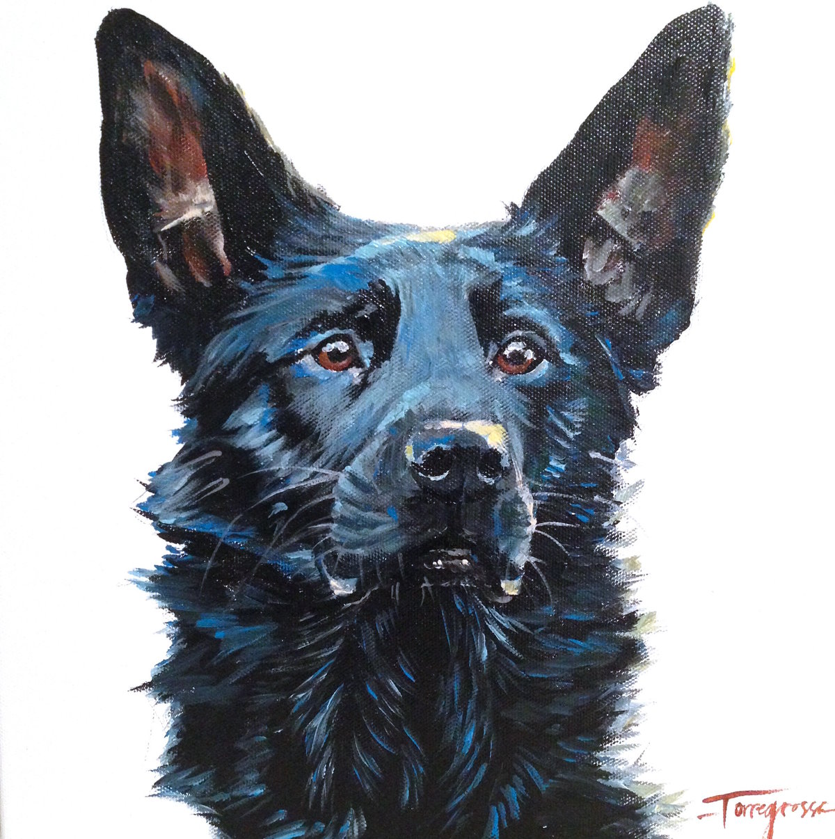 Torregrossa Fine Art Custom Pet Portrait by Stephanie T Gaffney German Shepherd dog