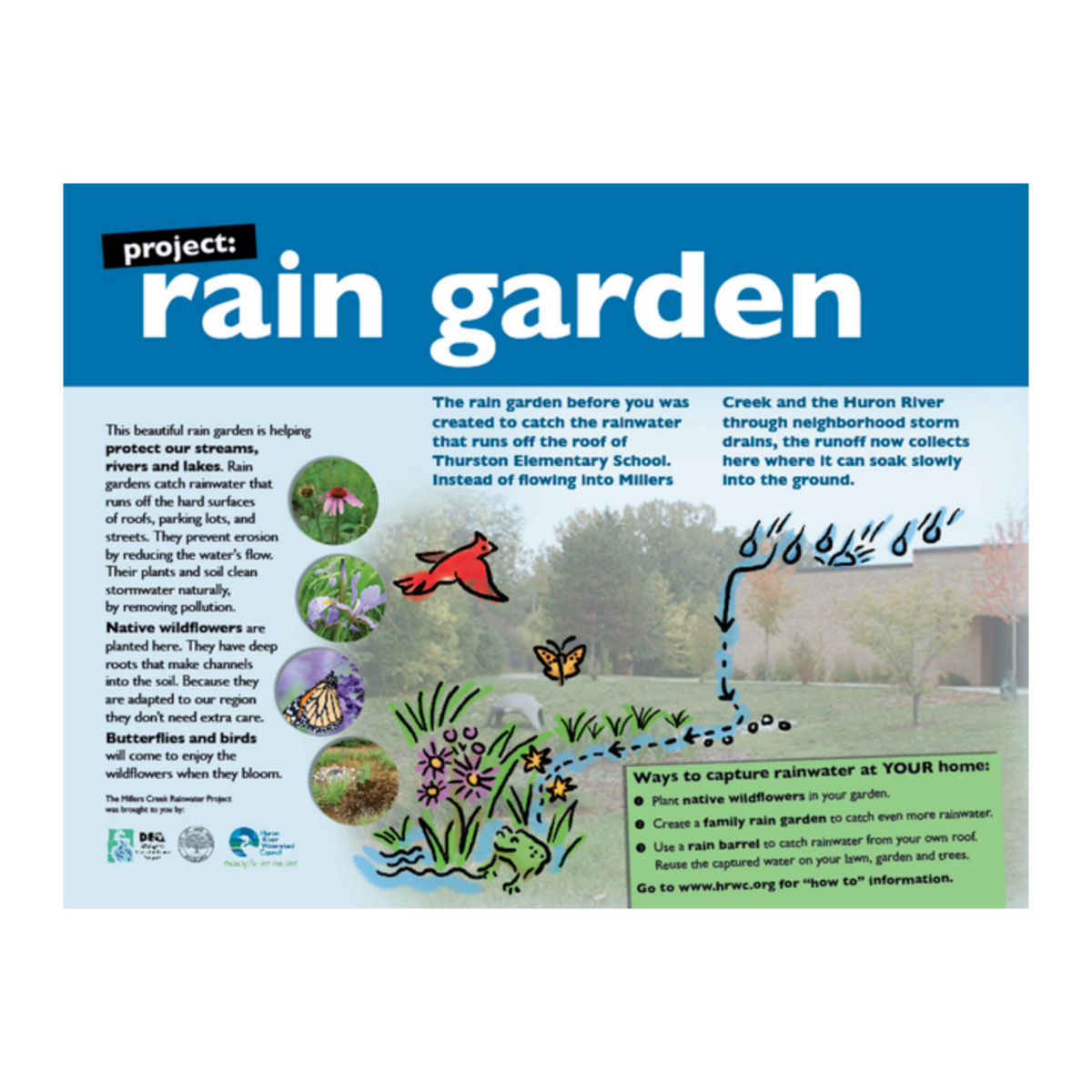 HRWC rain garden