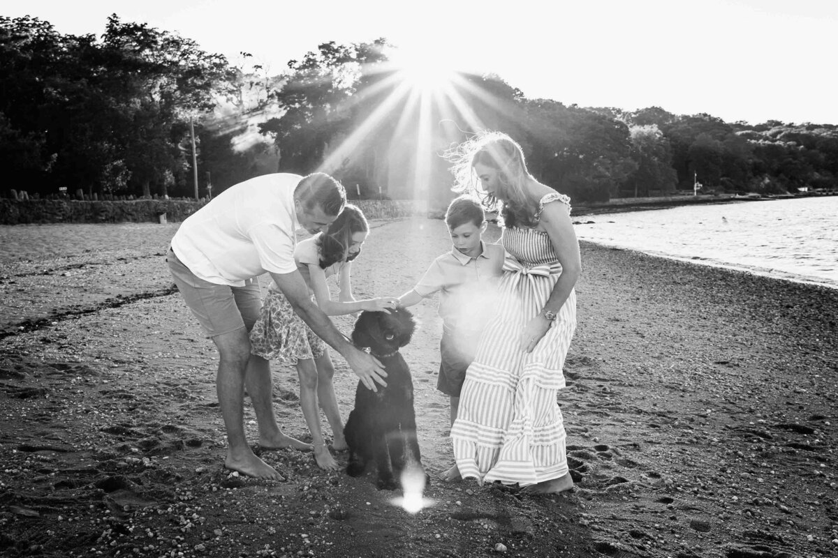 family petting dog on beach