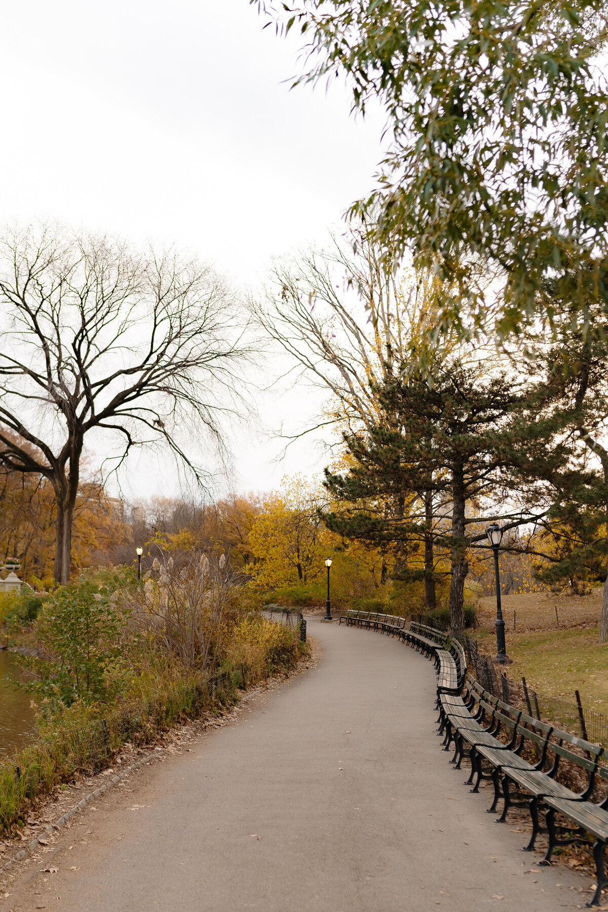 Central Park Engagement Photos 4