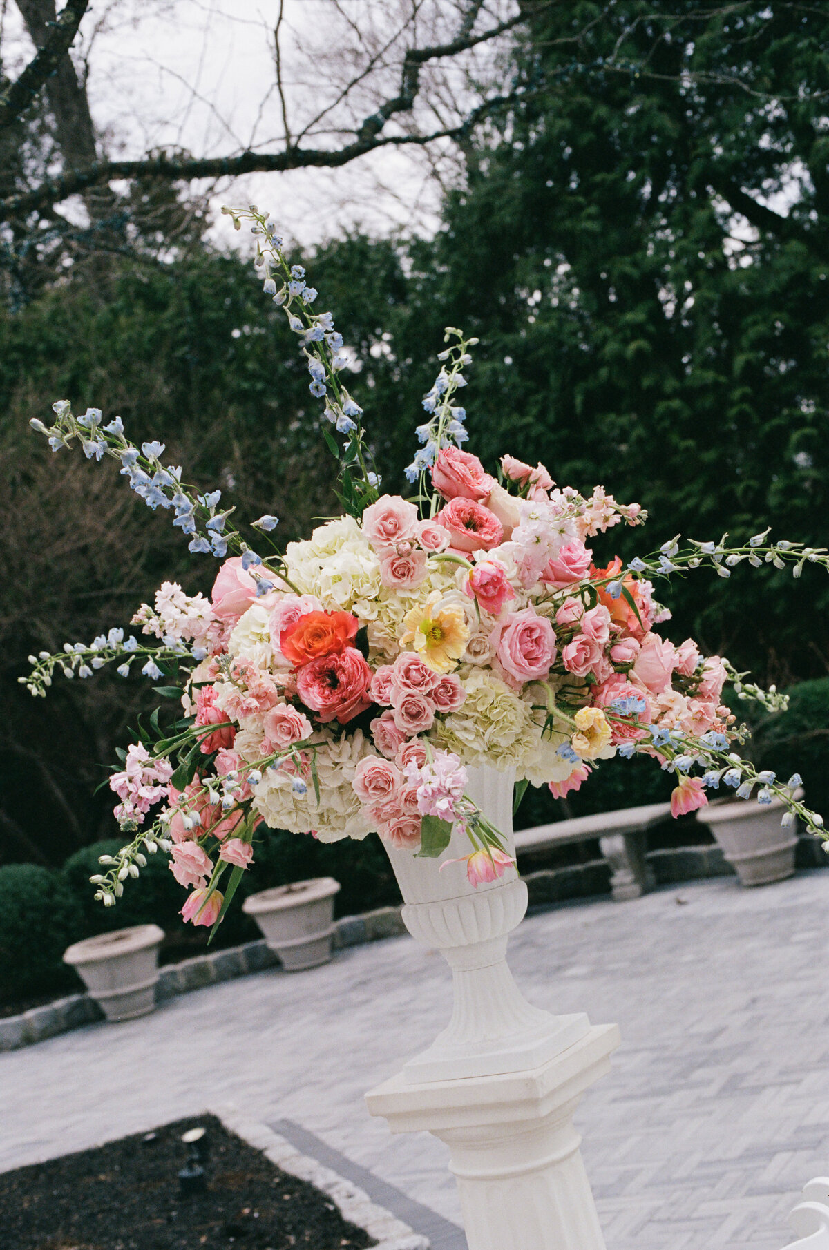 kodak_professional_portra_400_04_01_2025_000243540010