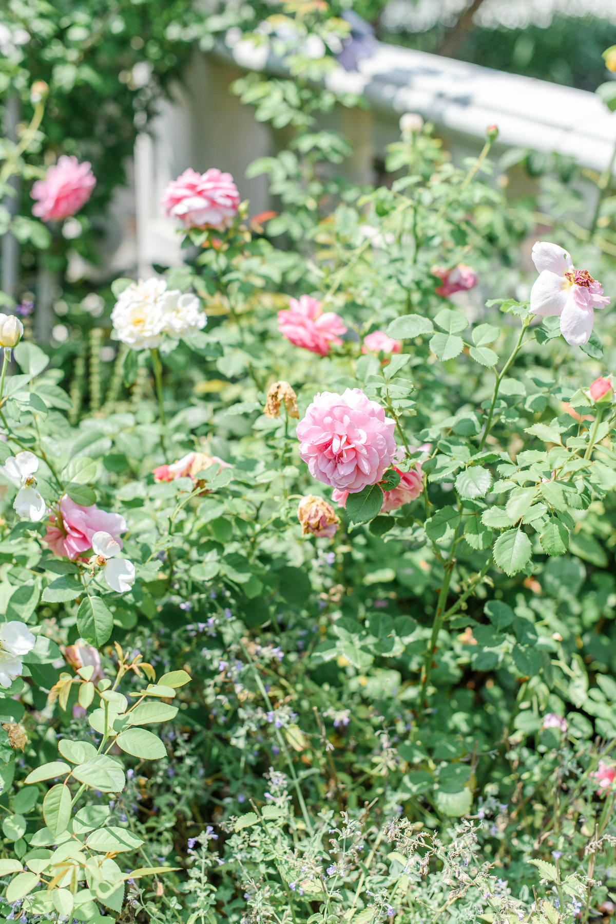 Olivia Rae Photography | Moonstone Manor Wedding, Lancaster PA-23